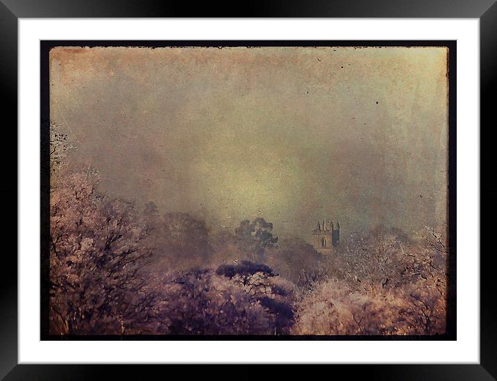 A Kentish Winter  Framed Mounted Print by Dawn Cox