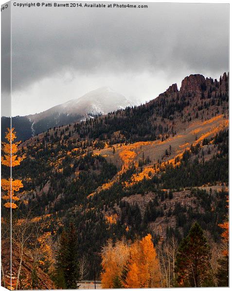  Fall Gold and Snow in Colorado Canvas Print by Patti Barrett