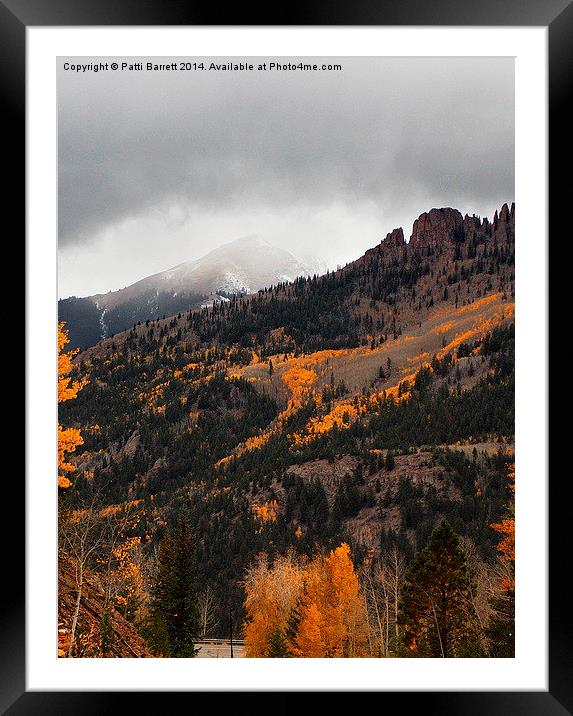  Fall Gold and Snow in Colorado Framed Mounted Print by Patti Barrett