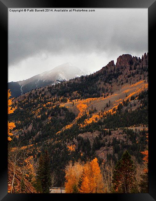  Fall Gold and Snow in Colorado Framed Print by Patti Barrett