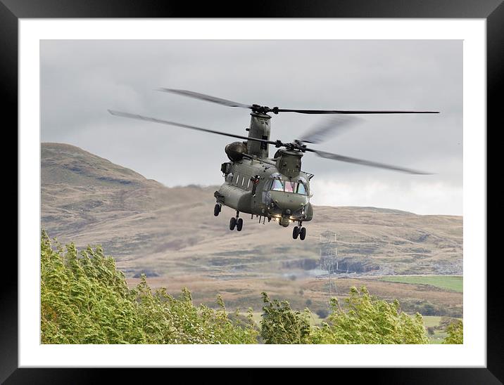Boeing CH-47 Chinook  Framed Mounted Print by Rory Trappe