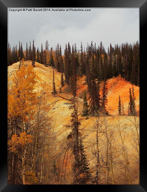  Gold At Slumgullion Framed Print by Patti Barrett