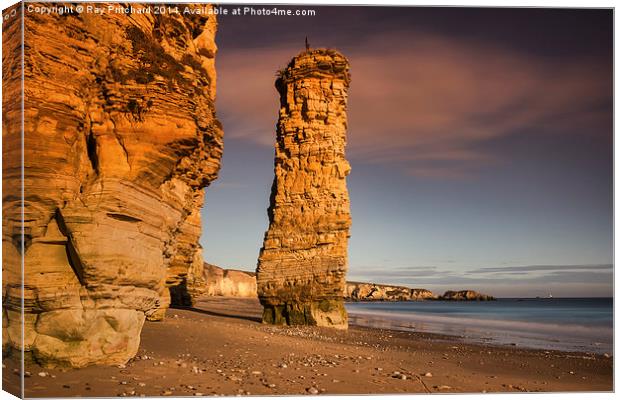  Lots Wife at Marsden Canvas Print by Ray Pritchard