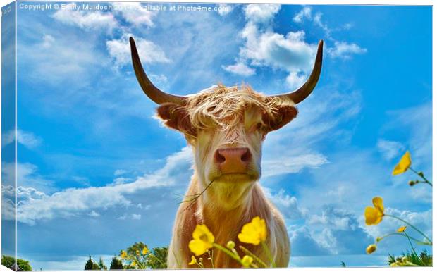  Millie the Highland Cow Canvas Print by Emily Murdoch