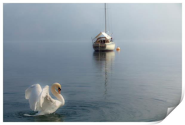  Swan Lake Print by Reza Sina