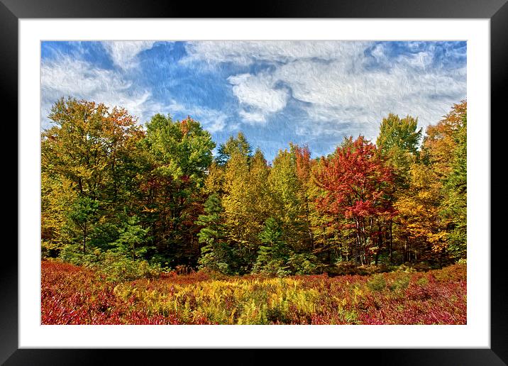  Painted Trees Of Fall Framed Mounted Print by Tom and Dawn Gari