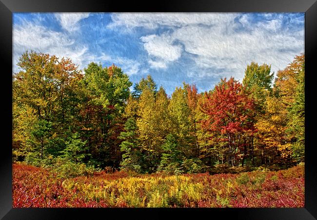  Painted Trees Of Fall Framed Print by Tom and Dawn Gari