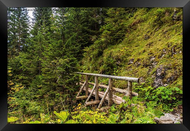 Footbridge to the mountain Framed Print by Laco Hubaty