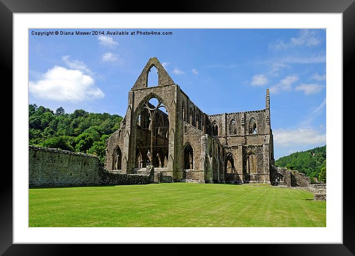  Tintern Abbey Framed Mounted Print by Diana Mower