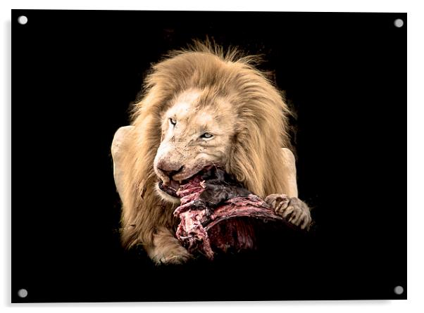 Lion's Lunch Acrylic by Louise Wilden
