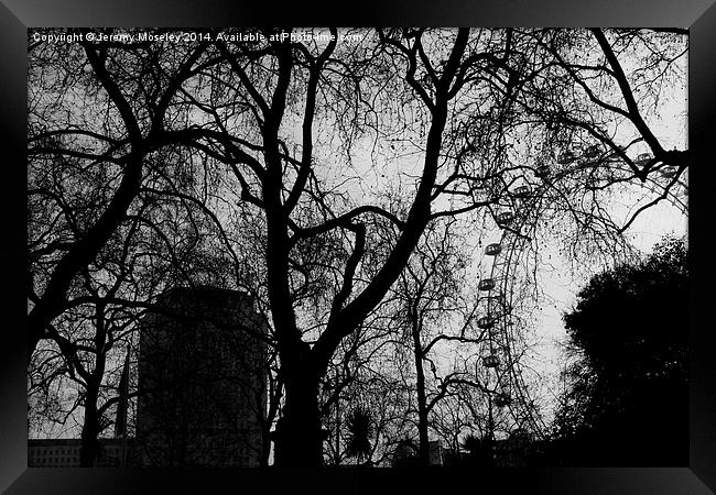 London Eye seen through branches Framed Print by Jeremy Moseley