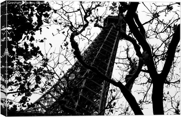 The Eiffel Tower, Paris Canvas Print by Jeremy Moseley