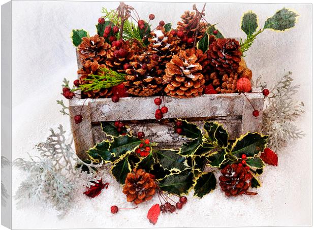  XMAS SELECTION FROM THE GARDEN Canvas Print by sue davies