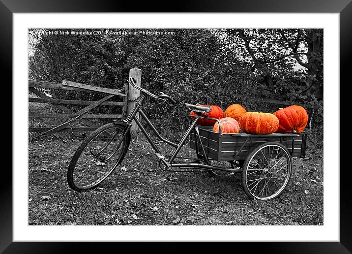  Lincolnshire Pumpkins Framed Mounted Print by Nick Wardekker