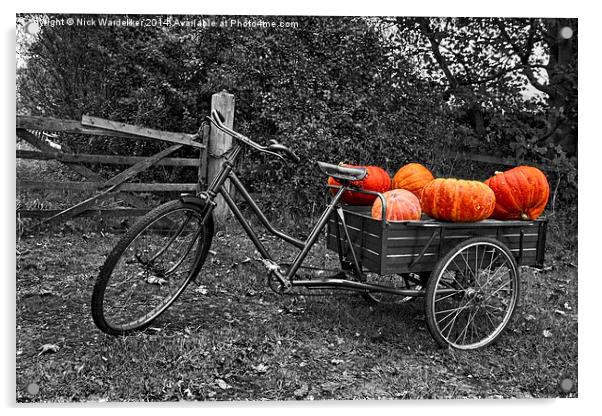  Lincolnshire Pumpkins Acrylic by Nick Wardekker