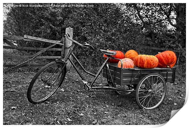  Lincolnshire Pumpkins Print by Nick Wardekker