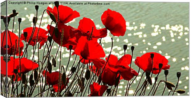 Poppies  Canvas Print by Philip Hodges aFIAP ,