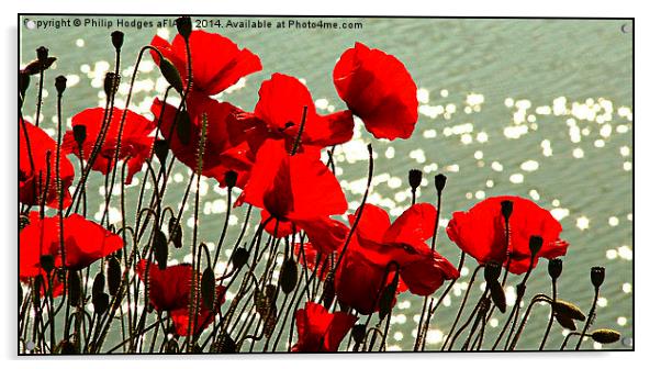 Poppies  Acrylic by Philip Hodges aFIAP ,