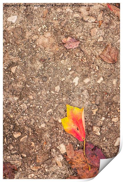  Fall leaf fallen Print by Chiara Cattaruzzi