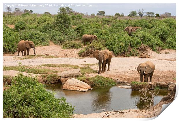 Elephants approaching water Print by Howard Kennedy