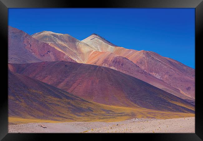  Painted Atacama Framed Print by David Hare