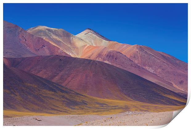  Painted Atacama Print by David Hare