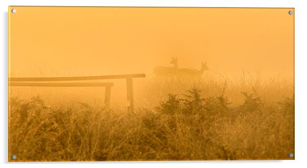  Deers! Acrylic by Inguna Plume