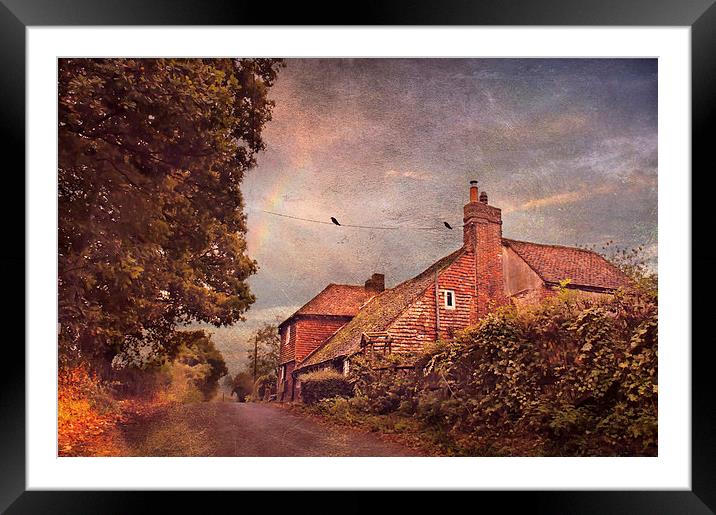  The Lane Framed Mounted Print by Dawn Cox