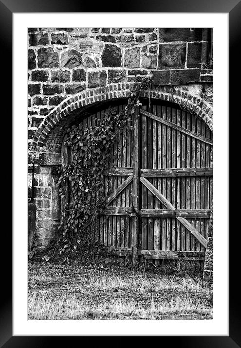  The Gate Framed Mounted Print by tom downing