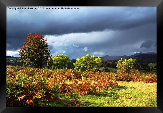  Black Clouds of Autumn glow Framed Print by tom downing