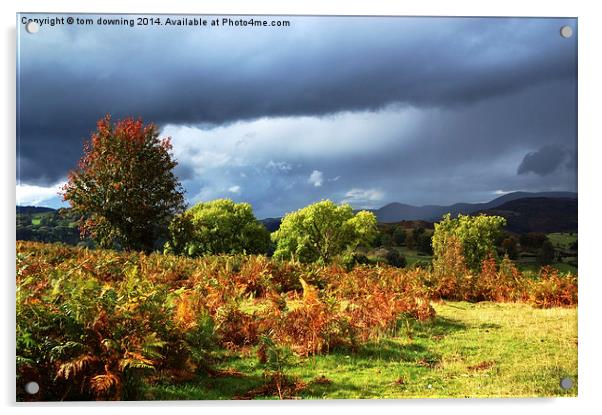  Black Clouds of Autumn glow Acrylic by tom downing
