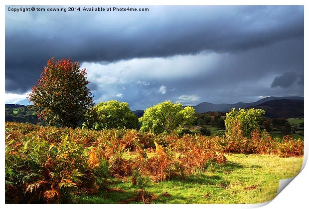  Black Clouds of Autumn glow Print by tom downing