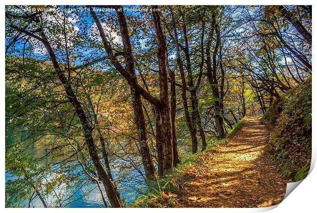  Lake Path Print by William Duggan