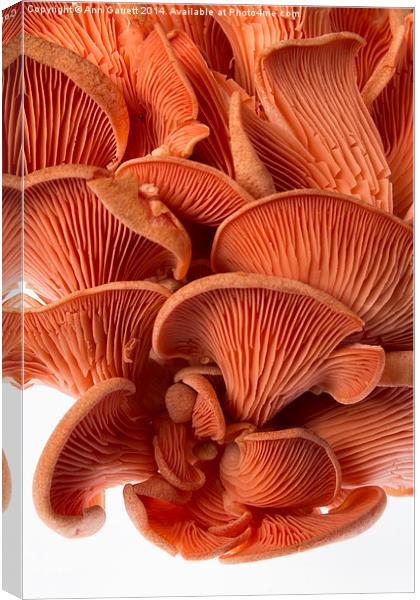Edible Fungi 2 Canvas Print by Ann Garrett