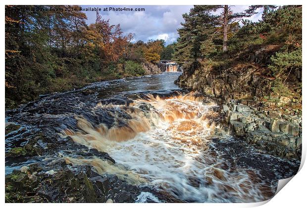  Low Force Waterfalls Print by Dave Evans