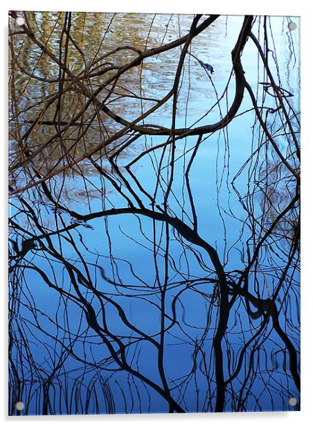 Reflection Acrylic by val butcher