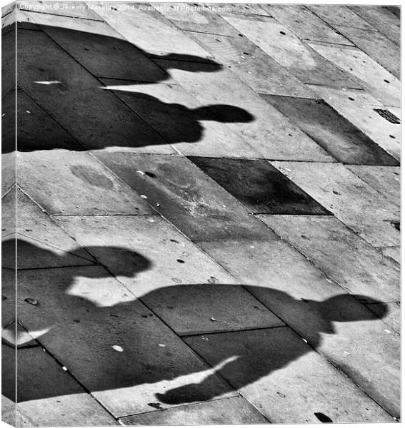Shadows on the ground Canvas Print by Jeremy Moseley