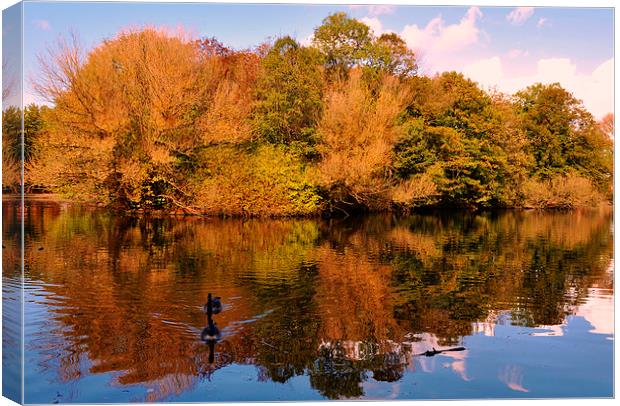  autumn reflections Canvas Print by sue davies