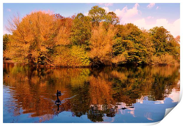  autumn reflections Print by sue davies