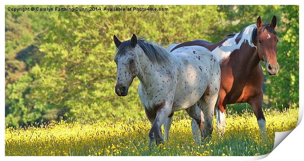  Horses amongst Buttercups Print by Carolyn Farthing-Dunn