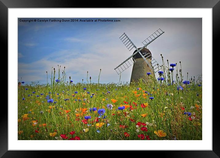  Windmill in Summer Framed Mounted Print by Carolyn Farthing-Dunn