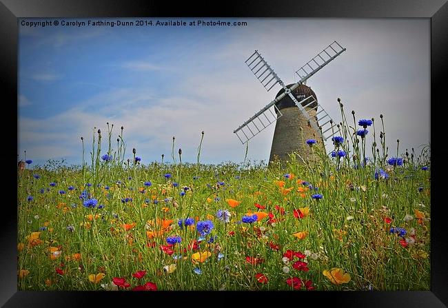  Windmill in Summer Framed Print by Carolyn Farthing-Dunn