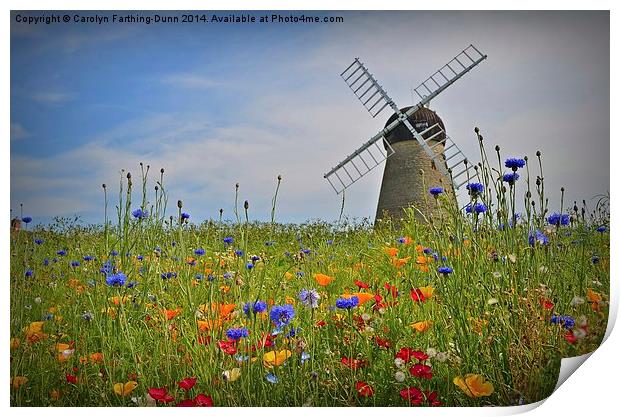  Windmill in Summer Print by Carolyn Farthing-Dunn