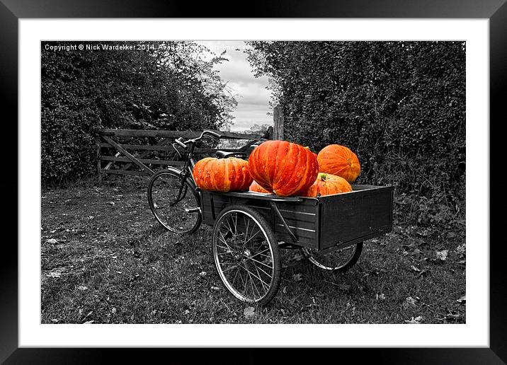  Seasonal Harvest.. Framed Mounted Print by Nick Wardekker