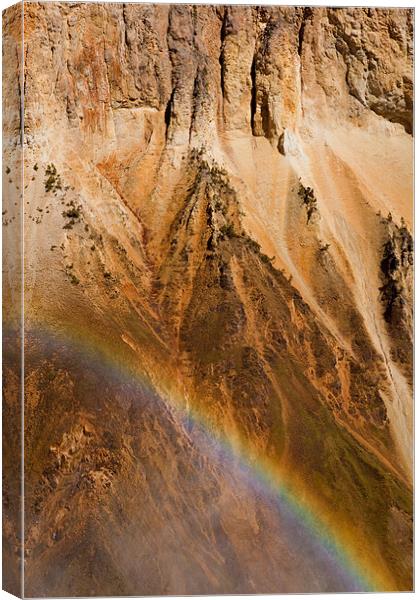 Grand Canyon of the Yellowstone Canvas Print by Thomas Schaeffer