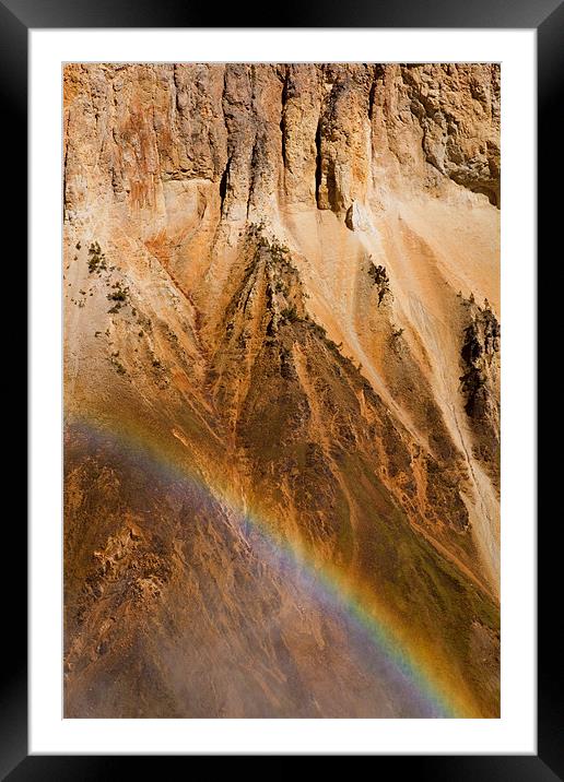 Grand Canyon of the Yellowstone Framed Mounted Print by Thomas Schaeffer