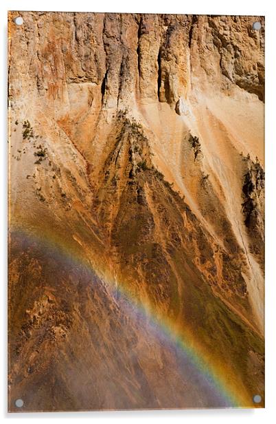 Grand Canyon of the Yellowstone Acrylic by Thomas Schaeffer