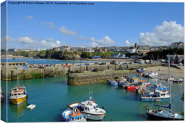 Newquay Harbour   Canvas Print by Diana Mower