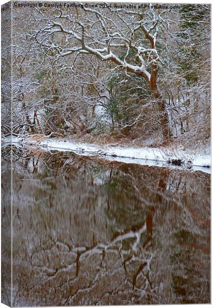 Reflections of Winter Canvas Print by Carolyn Farthing-Dunn