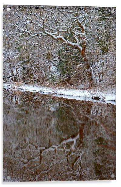  Reflections of Winter Acrylic by Carolyn Farthing-Dunn